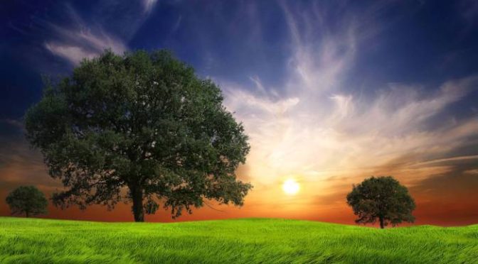 Gambar Bebas: Rahasia Konten Menarik Tanpa Kantong Bolong